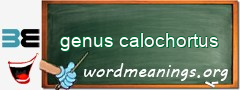 WordMeaning blackboard for genus calochortus